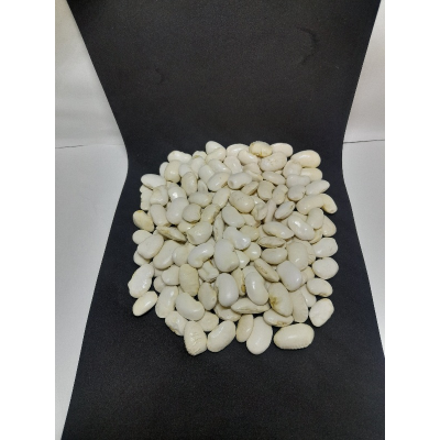 ΓΙΓΑΝΤΕΣ ΧΥΜΑ ΠΡΕΣΠΩΝ 1000γρ.