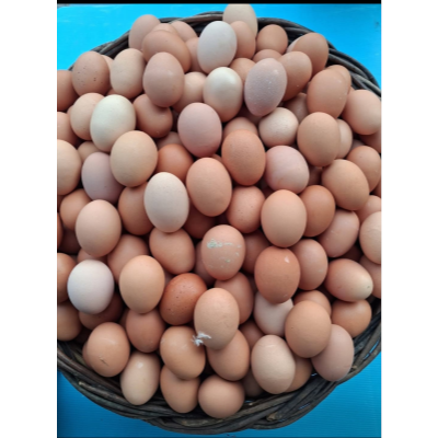 30 ΦΡΕΣΚΑ ΑΥΓΑ ΕΛΕΥΘΕΡΑΣ ΒΟΣΚΗΣ (ΔΙΑΛΕΧΤΑ)  EXTRA LARGE